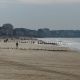 PLUS BELLE PLAGE DE FRANCE !